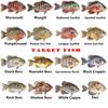 Fishing Lures with Treble Hooks, Little Tease Silver, 2 Pack (A Set)