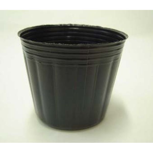 Poly Pot 6cm Black 100pcs Vinyl Pot