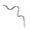 Black Radiance Eye Appeal™ Micro Brow Pen Dark Brown