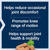 Joint Mobility 60 vegetarian capsules