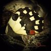 Music For Wastelands [VINYL]
