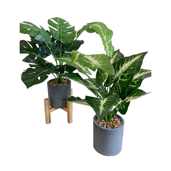 Kugusa Monstera Potted Plant, Artificial Flower Plant, Set of 2 Interior Decoration, Set of 2 (Monstera and Caradium)