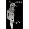 CRL N6525 3/4" Nylon Back Wardrobe Roller for Harvey
