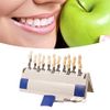 Teeth Whitening Shade Guide Porcelain 29 Colors Set Tooth Bleaching Shade Chart Mold Dental Material Equipment Oral Care