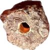 Generisch Natur Bernstein Amulett
