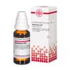 DHU Belladonna D10 Dilution, 20 ml Lösung