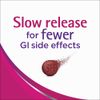 Slow Fe Iron Supplement Tablets for Iron Deficiency, Slow Release, High Potency, 30 count