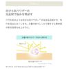 macchialabel makia label moist powder foundation (light natural)
