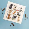 Bothy Threads Counted Cross Stitch Kit - Woof!
