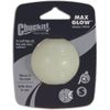 Chuckit! (4 Pack Max Glow in The Dark Fetch Dog Toy, Small