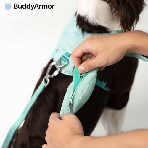 BuddyArmor Dog Leash with Pocket, Dog Training Leash with 5 Handles, Heavy Duty Lightweight Dog Leash with Twist Lock Carabiner for Small Medium Large Dogs Walking Running Hiking (Turquoise, S)