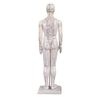 Male Model/Height 24"