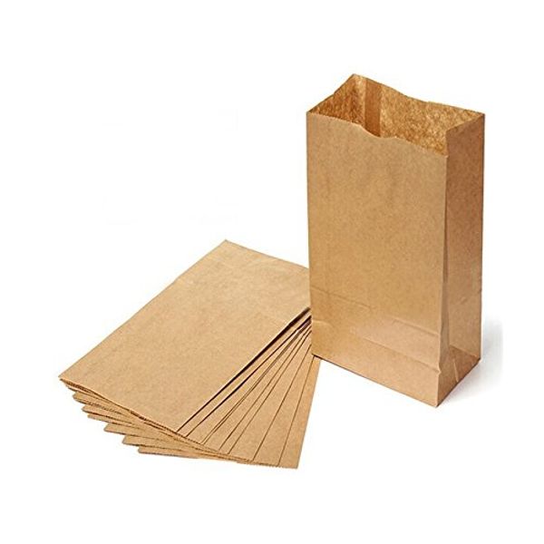 Novolex 2BBP, 2 Brown Kraft Paper Bags, Disposable Take Out Unprinted Grocery Bread Bags, 500-Piece Bundle