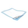 DURASORB Heavy Absorbency Underpad - 30" x 30" - Fluff Filled - Case