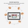 Intelligent Incubator Thermostat, Automatic Egg Incubator Controller Thermostat, Digital Automatic Incubator Controller for Eggs Duck Eggs Goose Eggs
