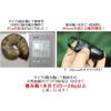 Type G Mycelium Bottle (Mycelium Bottle) 800