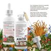 Cordyceps Extracted Mushroom Tincture, Organic