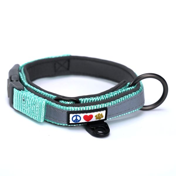 Pawtitas Lumberjack Padded Martingale Collar for Dogs | Soft Neoprene Dog Collar for Your pet's Comfort Made with Reflective Band for Maximum Visibility | Fits Small and Large Pets - Small Teal