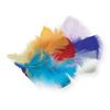 50 Large Assorted Feathers