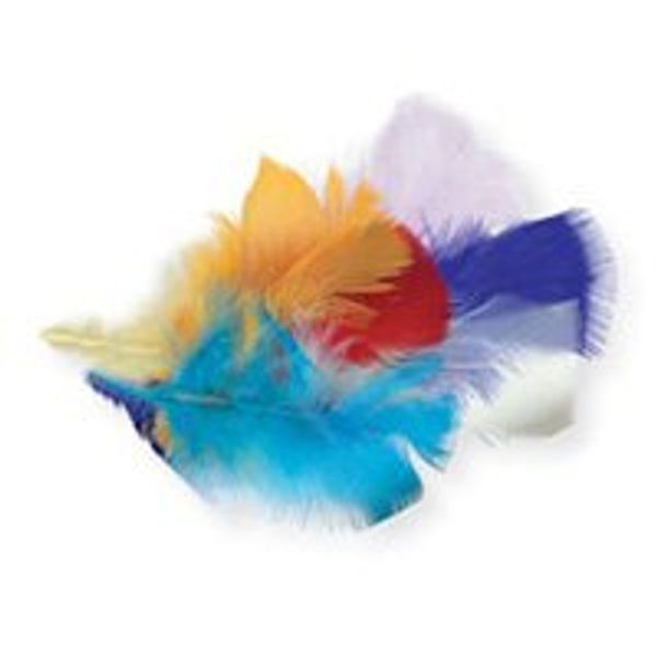 50 Large Assorted Feathers