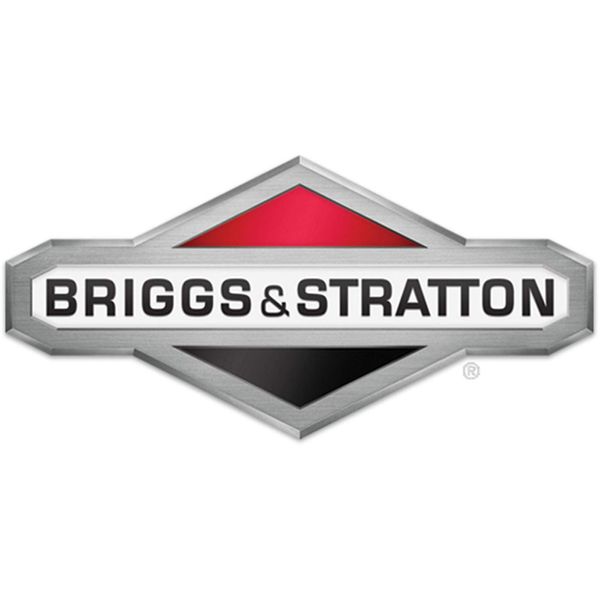 BRIGGS AND STRATTON 493637 JET-MAIN