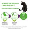 Dronspot 30 mg/7.5 mg Spot-on Solution for Small Cats - Single