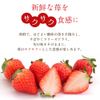 Rokkatei Strawberry Chocolate White [Bag]