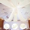Ivory Ceiling Drapes 6 Panels 5ftx10ft Wedding Arch Draping Fabric Chiffon We...