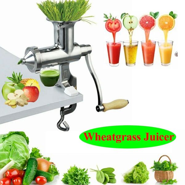 Manual Wheatgrass Juicer Stainless Steel Home Juice Extractor for Juicing Celery