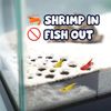 CTWPets Shrimp Breeding Protection Set, 3-Pack Bundle with Hide Dome, Half Protector, Breeding Protector (White)