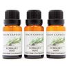 Rosemary Mint (Made in USA) 3 Bottles 1/2 Fl Oz Each (15ml) Premium Grade Scented Fragrance Oil (Resinous Herbal Spiked with Mint. Clean and Fresh)