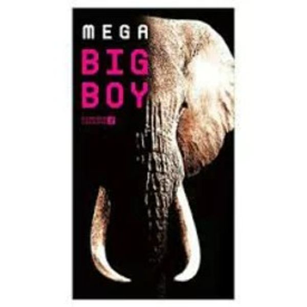 Controlled medical device Okamoto Mega Big Boy 2000 (12 pieces) x 1 piece 4547691696724 Condom P