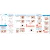 D-UP Buried Type (Double Orthopedic Tape) Wonder Irid Tape Points (180 Sheets)