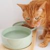 Health Water Bowl, M