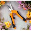 Bonsai Pruning Shear - Straight Blade Garden Scissors Set of 2