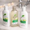 Dr. Organic Gel and Soap - 1 Piece