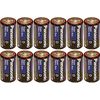 Panasonic Heavy Duty D Batteries X 12