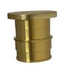 XFITTING Pex A 1 Inch Plug End Cap, 29-1-5=2XX, 2 Pieces