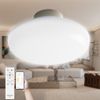 LED Ceiling Light, 6 Tatami Mat, Dimmable, Smart Ceiling Light, 10W, Equivalent to 100W, Ceiling Light, Dimmable Remote Control, Brightness Adjustable, App Operation, Bluetooth Compatible, Ceiling