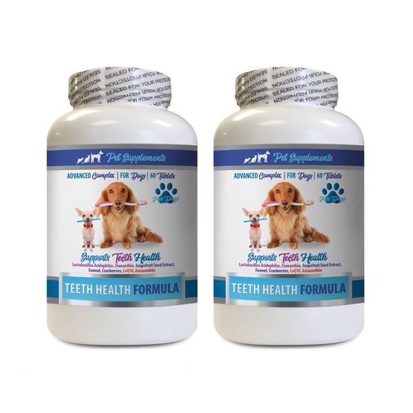 dog bad breath chews - DOG TEETH HEALTH FORMULA 2B - dog vitamin c