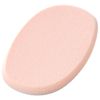 anemone Beauty Multi-Use for Z Notebook (sukuwaran Blend) An – 42 (1 Pack)