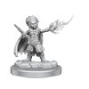 D&D Nolzur's Marvelous Miniatures: Halfling Wizards