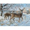Cobble Hill 500 Piece Puzzle - Winter Deer - Sample Poster Included