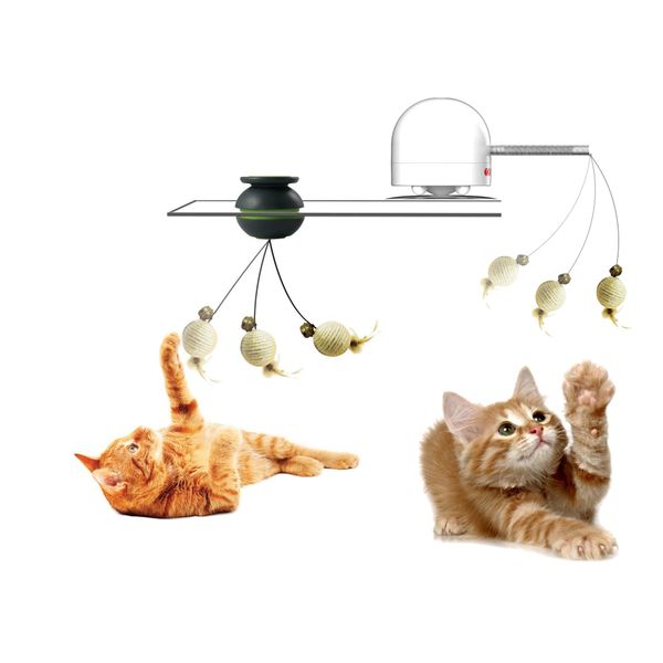 FroliCat Value Pack - SWAY & Twitch Combo