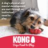 Kong Biscuit Ball, Large