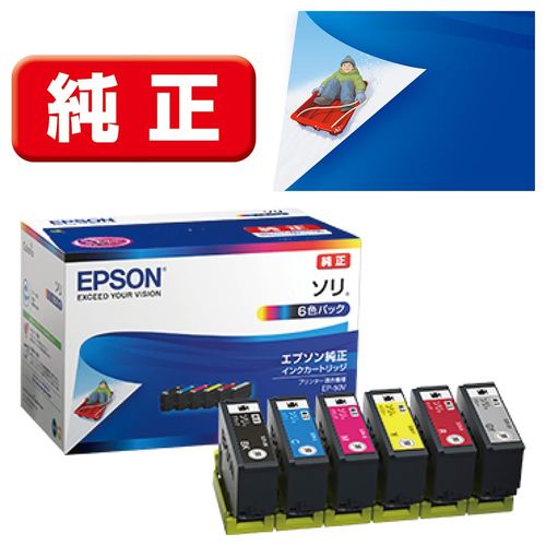 Genuine Epson SOR-6CL Ink Cartridge Sleigh 6 Color Pack