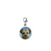 Border Terrier codey1 Dome on a Sterling Silver 925 Trigger Clasp 925 hoop charm