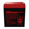 Neptune Replacement Battery for Chamberlain LiftMaster 4228 485LM - 2 Pack-