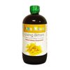 Moringa, Sea Moss, Ginger Living Bitters - Herbal Supplement - 16oz