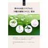 Quattro Botanico (Men's Gift Lotion & Cream), Botanical Lotion, 4.1 fl oz (115 ml) & Cream, 1.8 oz (50 g), Gift Set, Moisturizing, All-in-One, Men's Skin Care, Men's, Cosmetics, Birthday